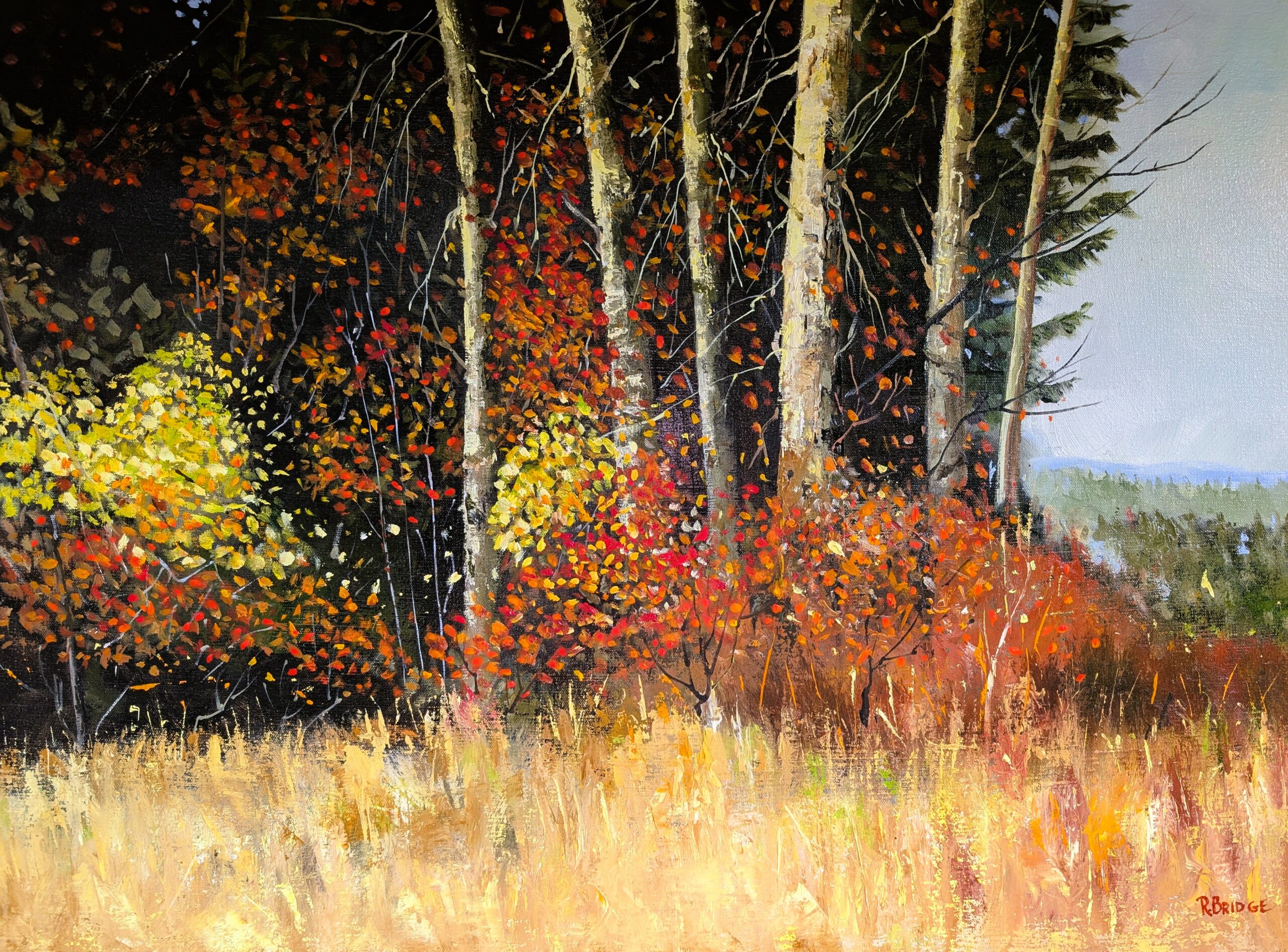 Alders and Grass 24 x 30