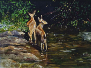 Deer in creek, Ron Bridge Artist Deer in creek, Ron Bridge Artist