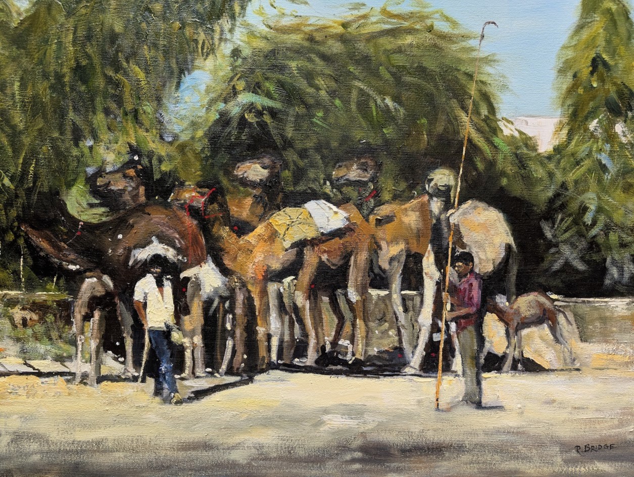 Camel Herders 22 x 28