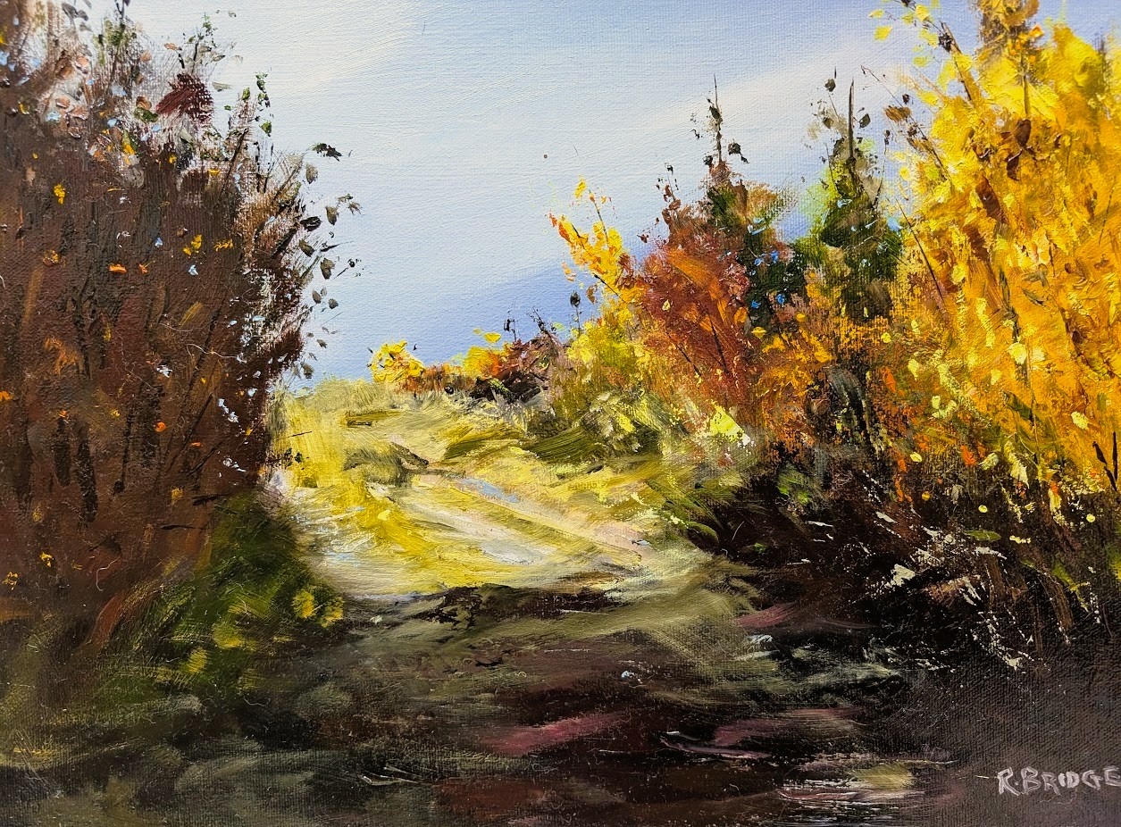 Colourful Path 12 x 16