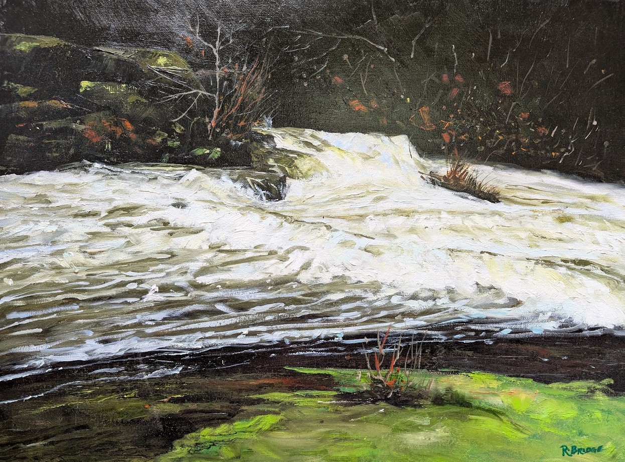 Creek Fury 18 x 24