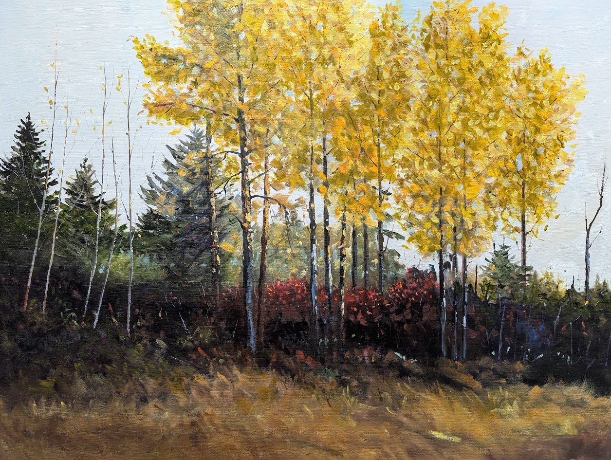 Fall Colours - Aspens 24 x 30