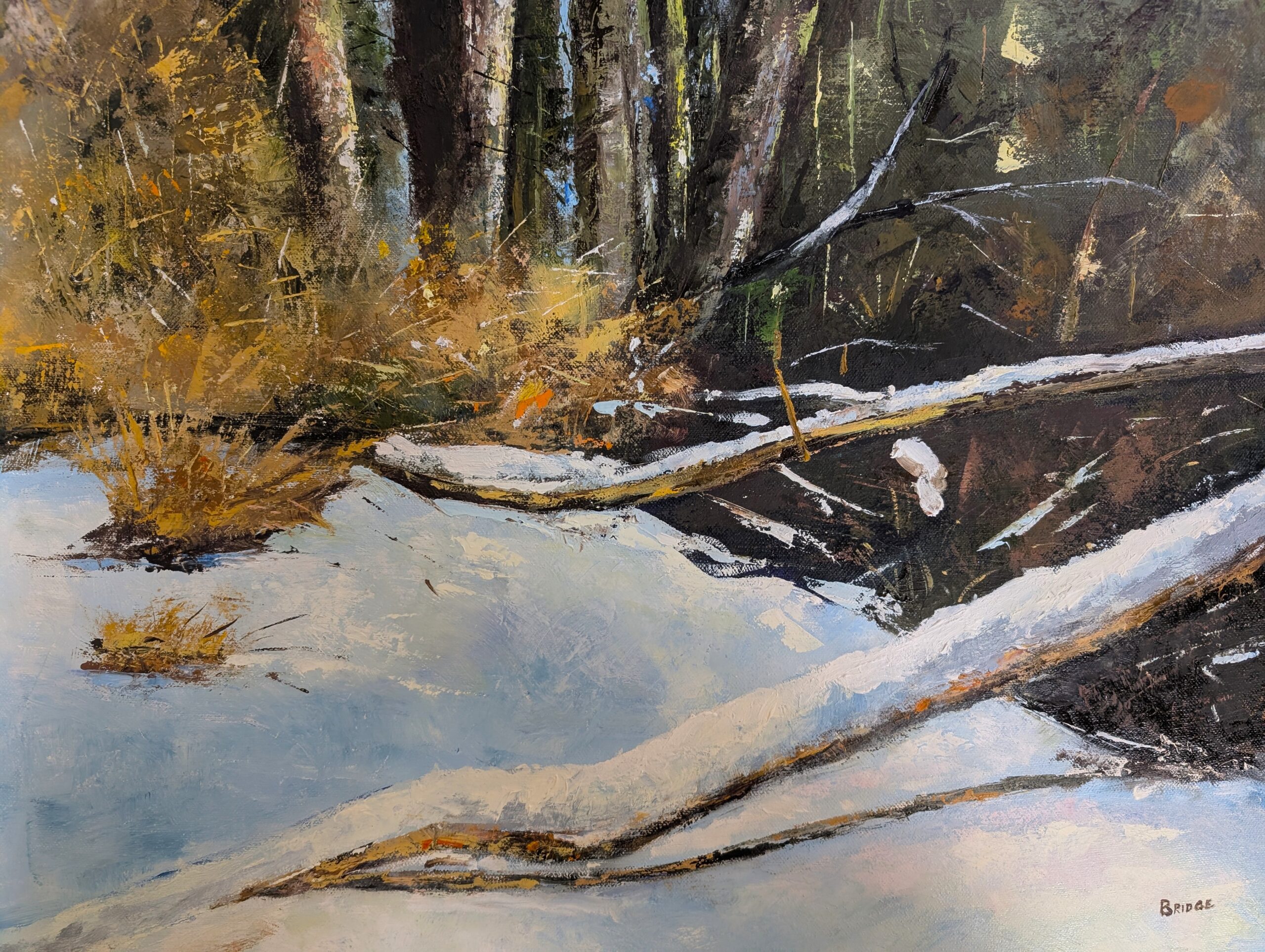 February Snow 16 x 20