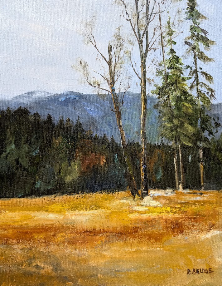 Mountain View 11 x 14