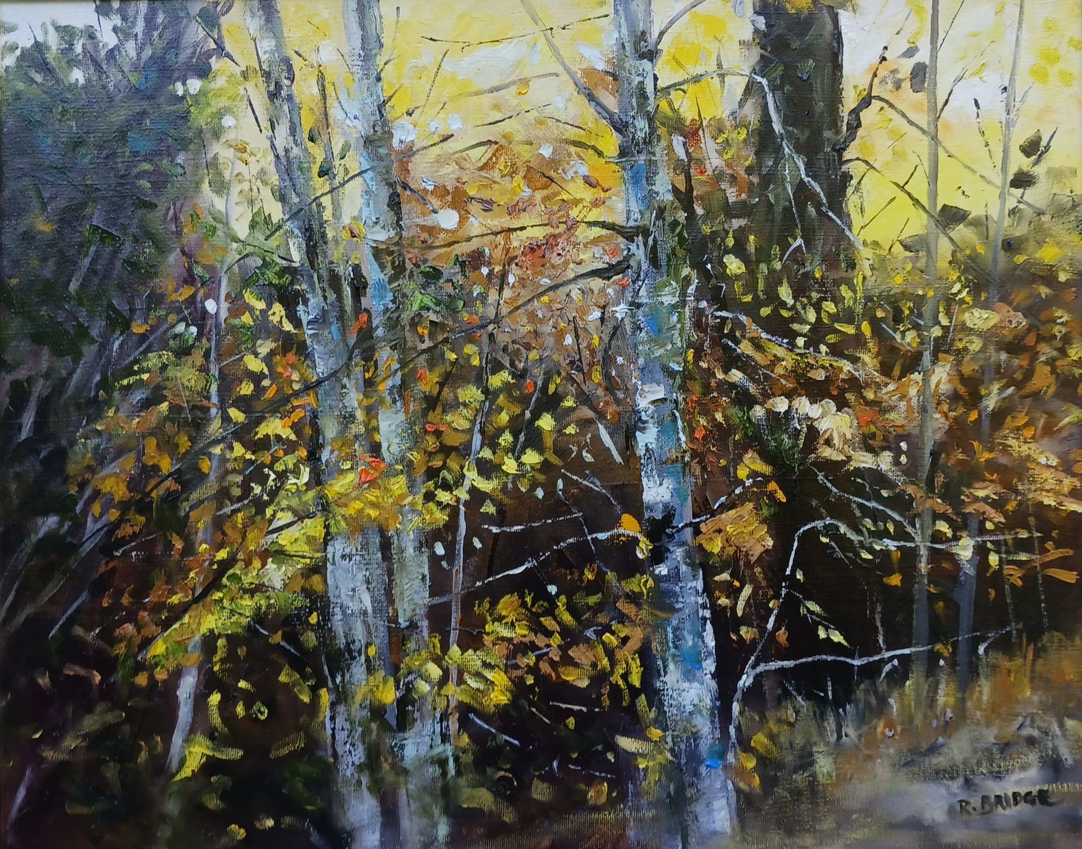 October 16 x 20