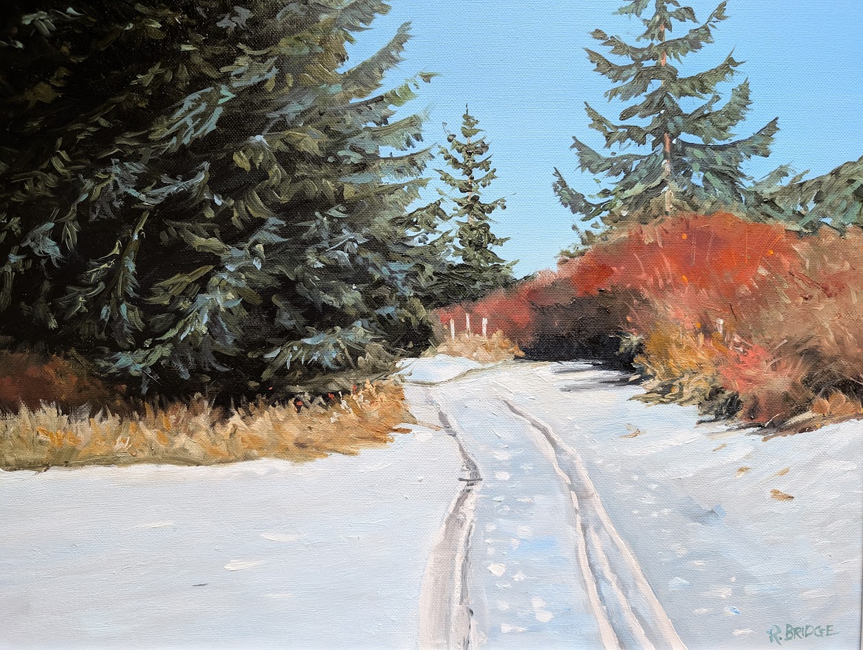 Salmon Point Path 16 x 20