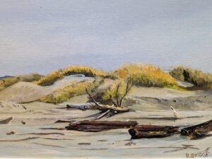 Sand Dunes 12 x 16 Sand Dunes 12 x 16
