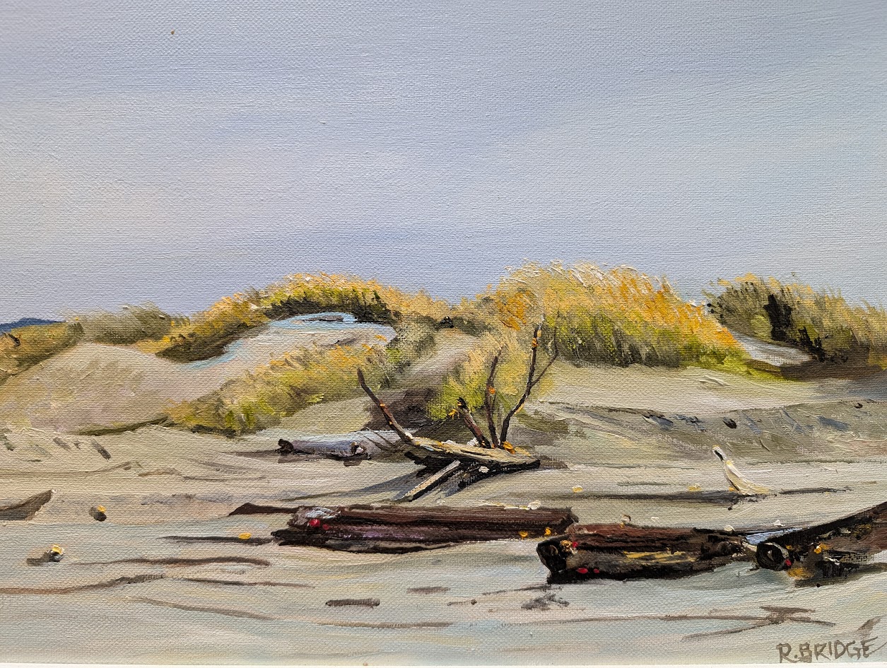 Sand Dunes 12 x 16