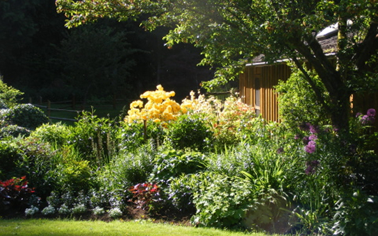 Ron Bridge's Cloudburst Studio