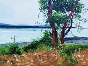 Hornby Arbutus Hornby Arbutus