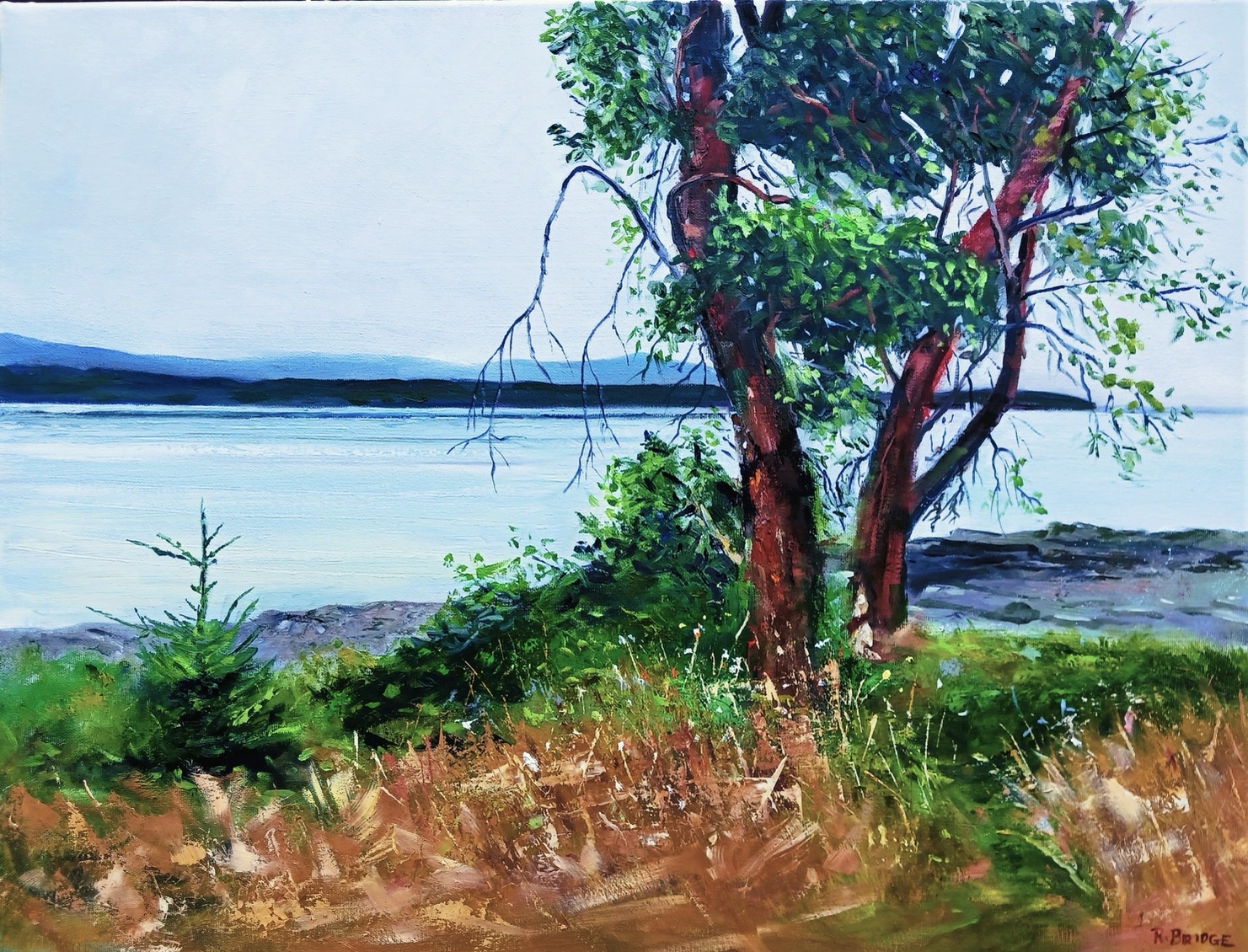 Hornby Arbutus