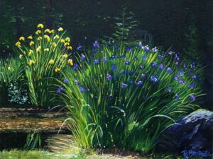 Irises 11 x 14 Irises 11 x 14